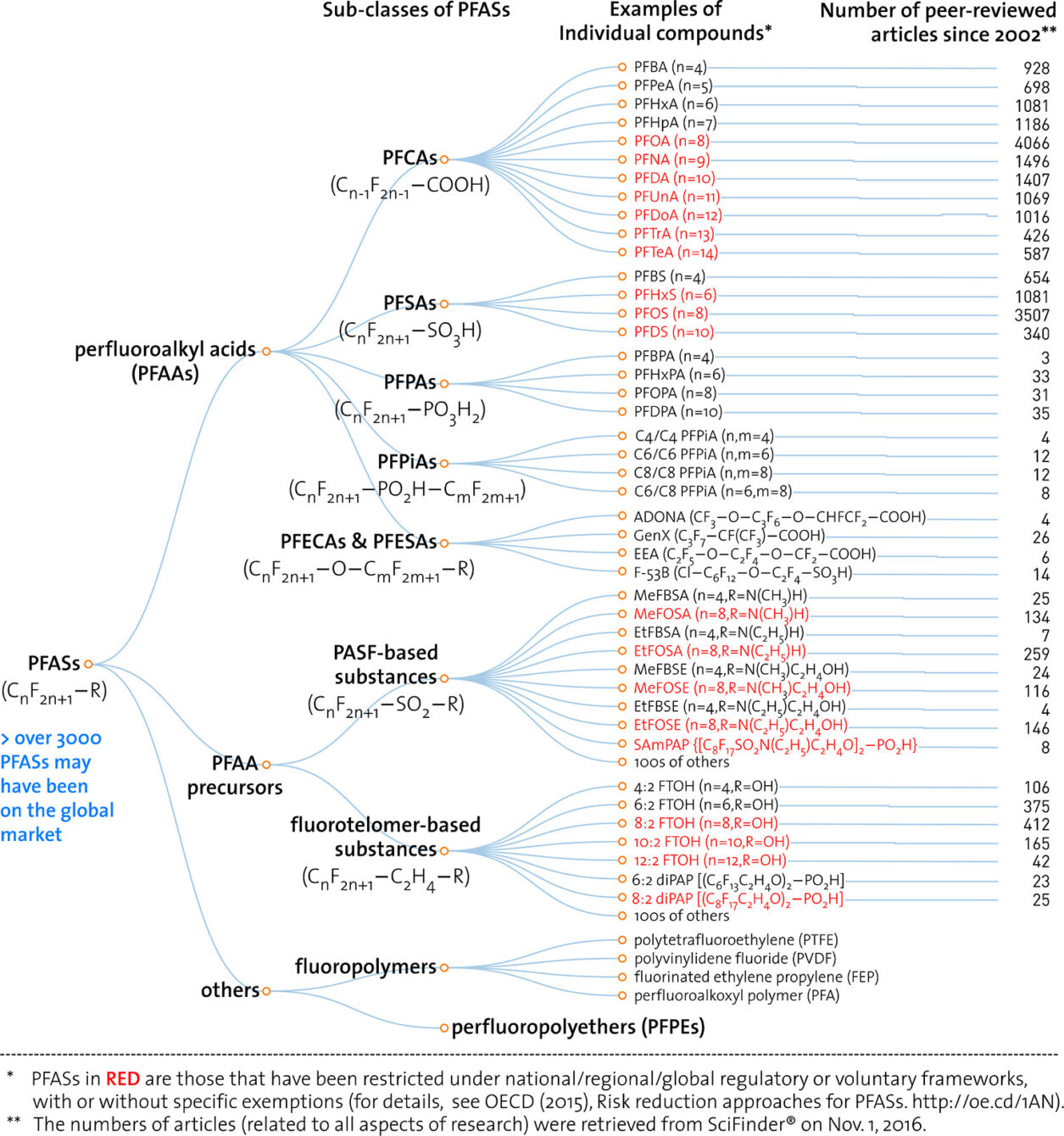 PFAS Structure Gorzelnik Engineering