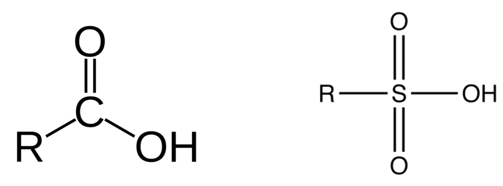Carboxylic and sulfonic functional groups